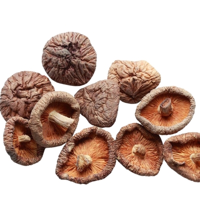 100g 250g 1kg 3kg فطر شيتاكي جاف مع BRC IFS ISO الح ش ص ص