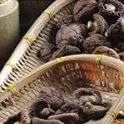 فطر شيتاكي جاف صحي 1 كجم سطح أملس 2 سنوات الصلاحية