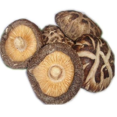 الح ش ص ص 1kg 3kg Dry شيتاكي فطر ياباني بطعم جيد